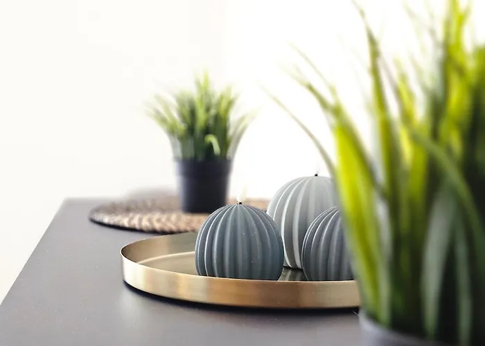 Alpenflair 아파트